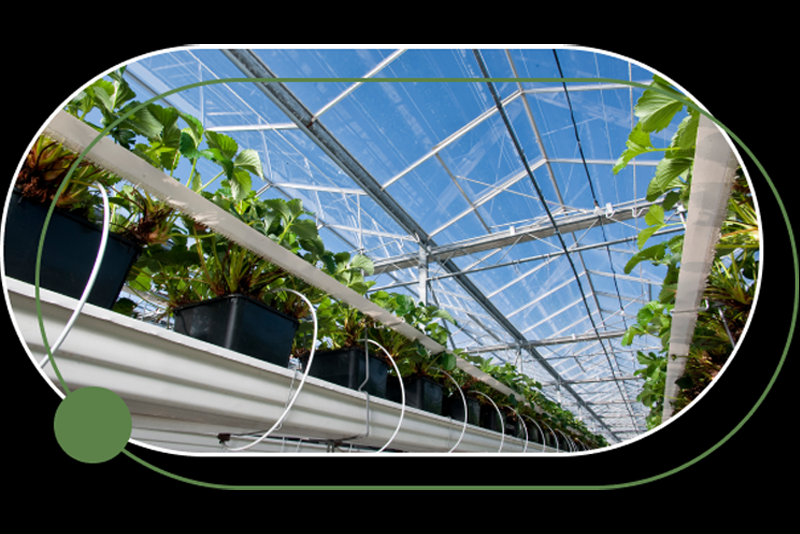 ong-tuoi-nong-nghiep-cho-nha-kinh-4