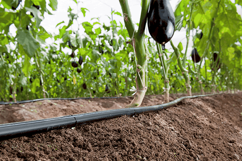 ong-tuoi-nong-nghiep-loai-tot-nhat